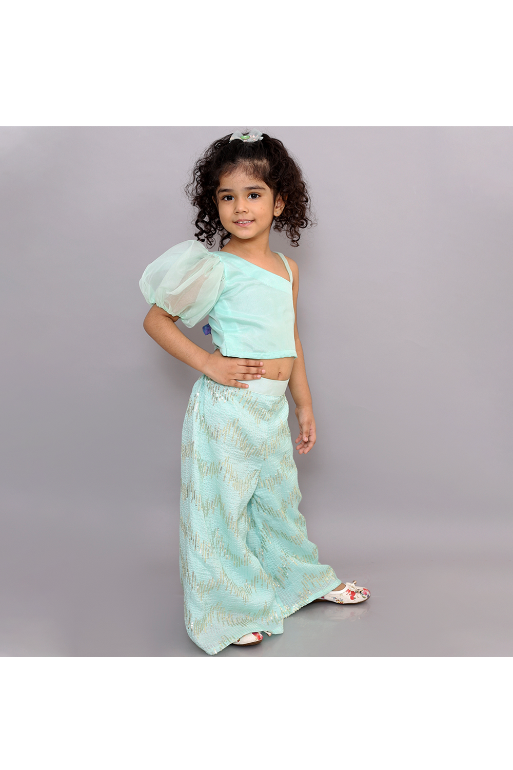 Light blue crop top and silk sequins palazzo