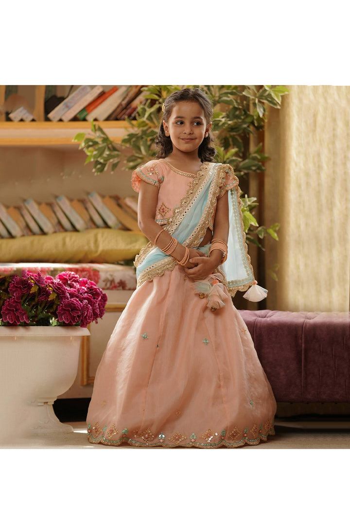 Peach Embroidered Organza Top With Lehenga Set