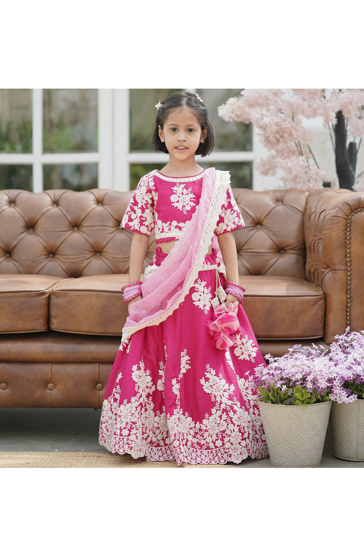 Pink Floral Embroidered Silk Choli With Lehenga Set