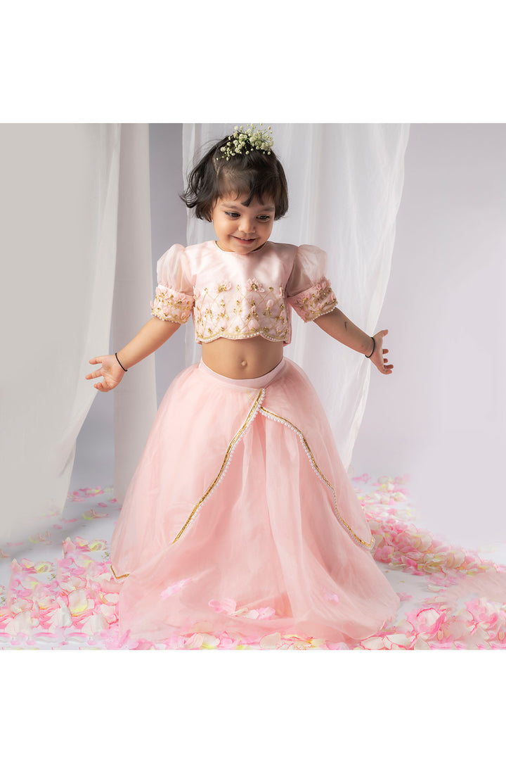Light Pink 3D Flower Embellished Top With Lehenga Set