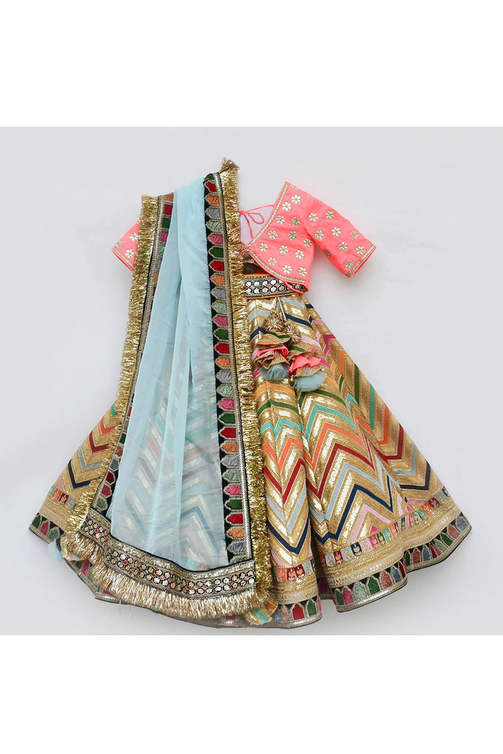 Pink floral embroidered choli with lehenga and organza dupatta